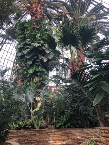 Anna Scripps Whitcomb Conservatory Palm House