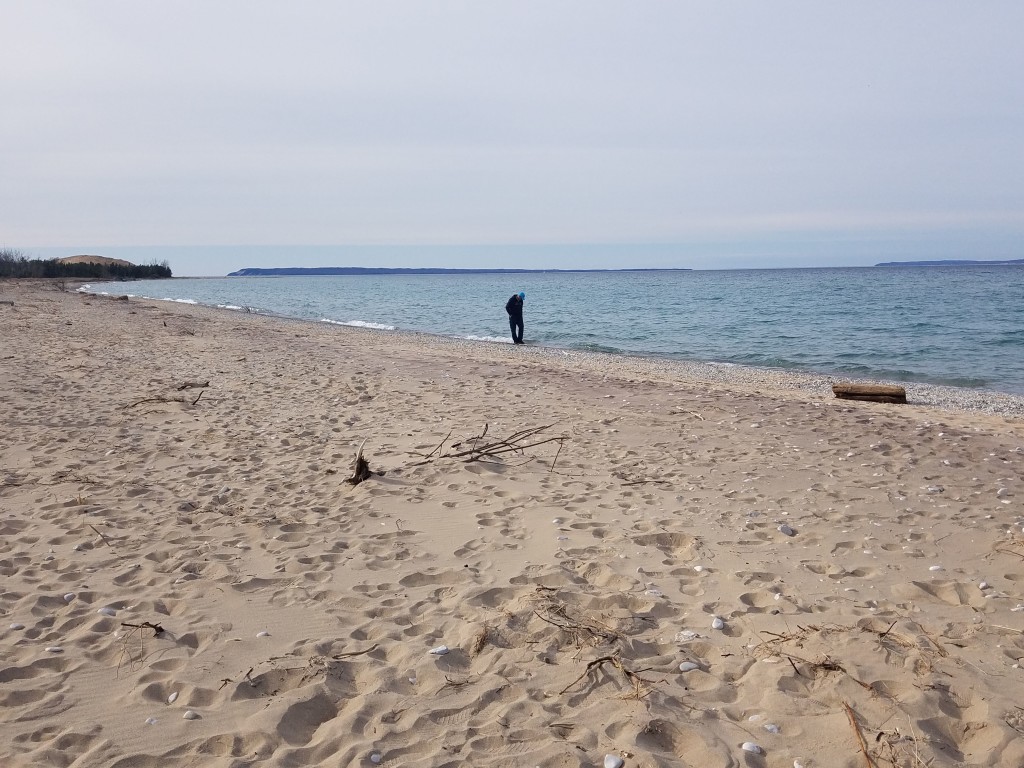 Petoskey Stone Hunting 10 Beaches Where You Can Find Michigan's State Stone Travel the Mitten