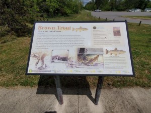 Worlds Largest Brown Trout Sculpture Michigan