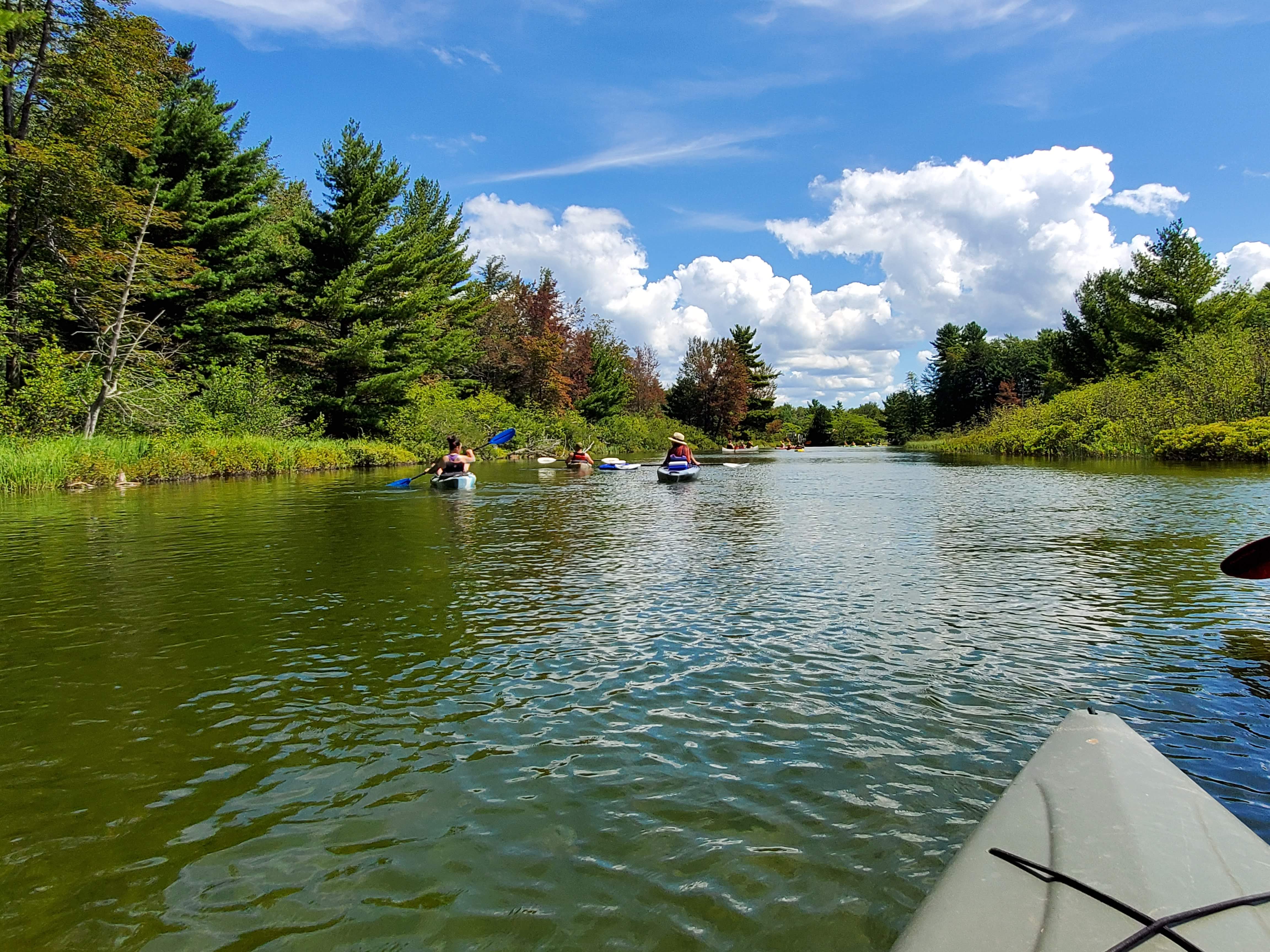 Platte River Kayak Northern Michigan Travel the Mitten