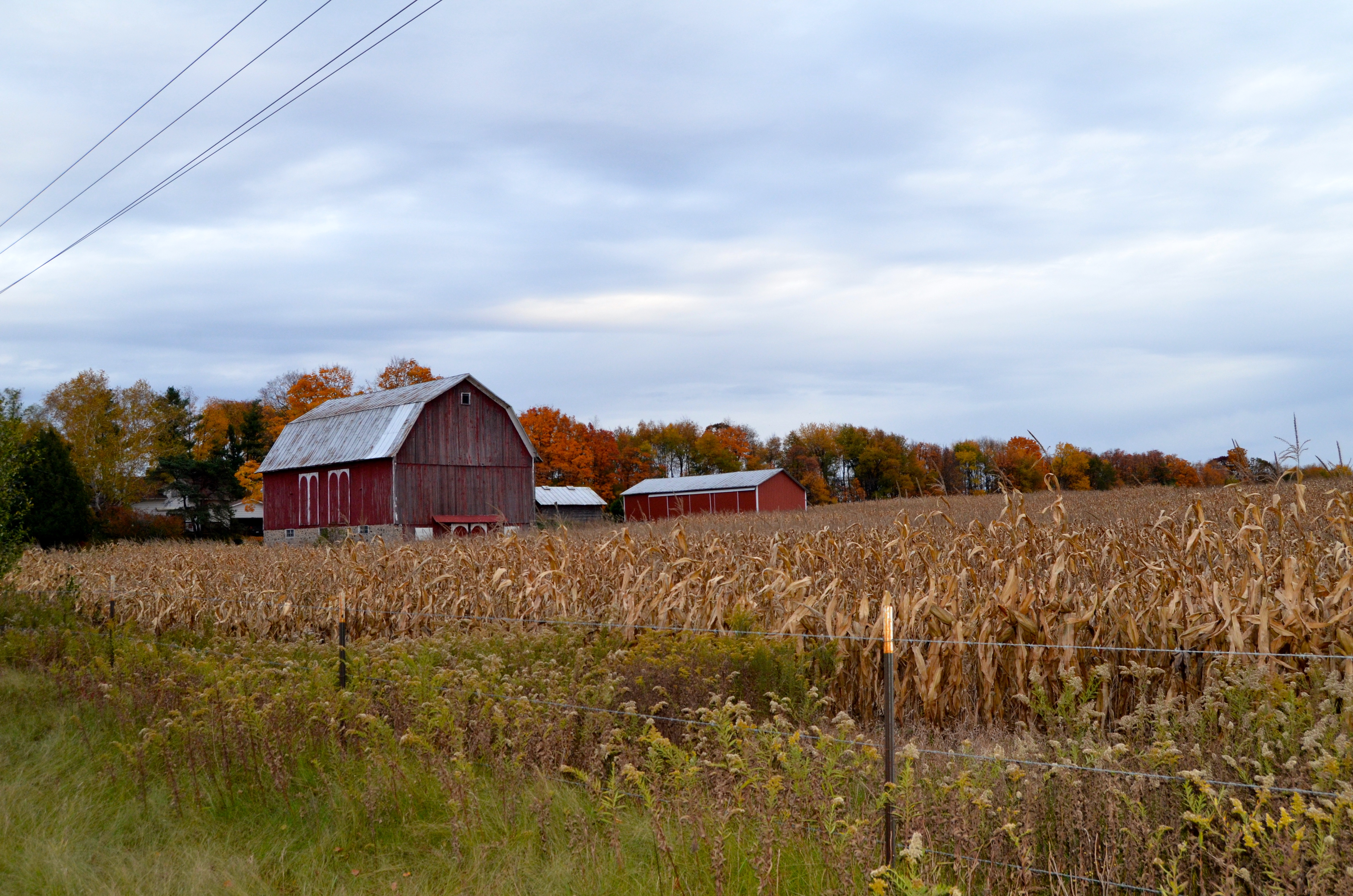 Kent County Fall Color Tour Barns and Farms