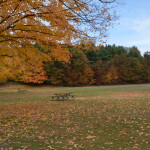 Kent County Fall Color Tour Townsend Park