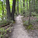 Lincoln Brick Park Hiking Trail Michigan