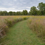 Lincoln Brick Park Meadow Habitat Trail