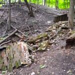 Lincoln Brick Park Ruins in the Woods