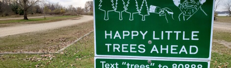 Michigan's Run for the Trees: Happy Little 5K Will Return in 2021