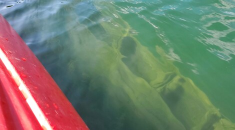Kayaking Michigan: Drummond Island Shipwrecks in Scammon Cove (MAP)