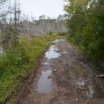 Fossil Ledges Drummond Island Beaver Swamp Drive