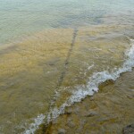 Fossil Ledges Drummond Island Lake Huron