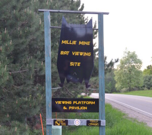Millie Mine Bat Viewing Site Iron Mountain Michigan