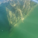 Shipwreck of the tug "Silver Spray", Drummond Island, September