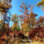 Fall color in Baldwin, October
