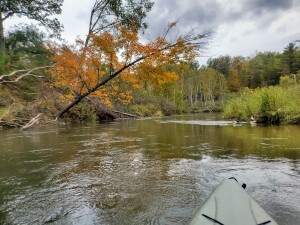 Pine River Kayak Trip Fall Michigan