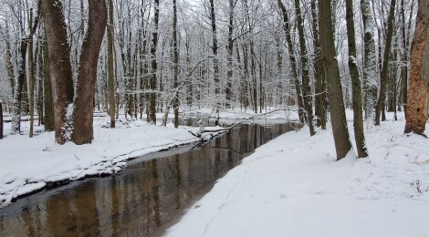 12 Great Kent County Parks for Winter Recreation