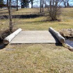 McCourtie Park Michigan Flat Trabejo Rustico Bridge
