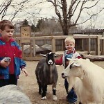 1989 Binder Park Zoo, Battle Creek