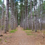 Michigan Trail Tuesday: Wege Foundation Natural Area, Lowell’s “Outdoor Classroom”