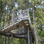 Dow Gardens Midland Michigan Canopy Overlook