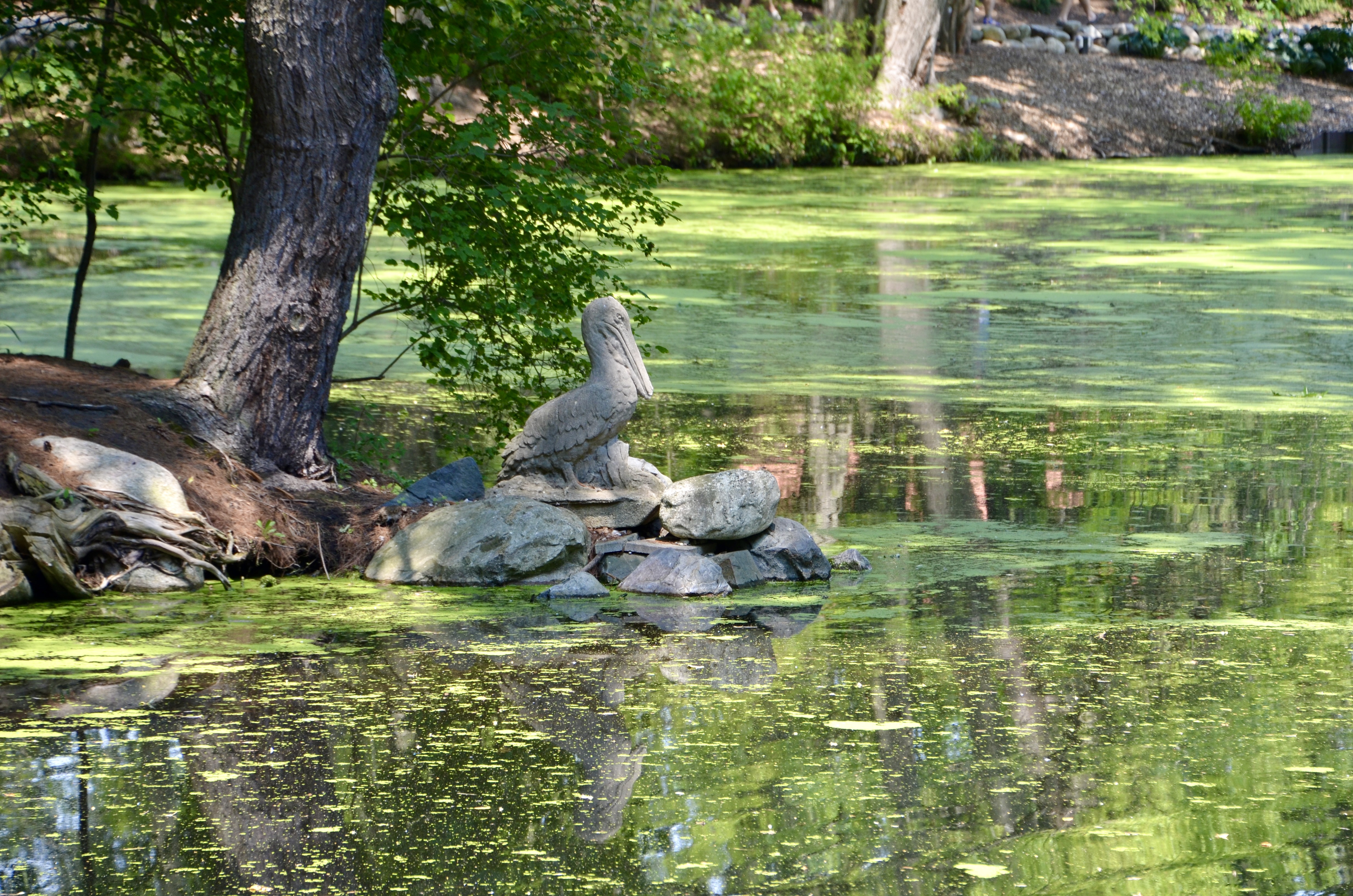 Dow Gardens Midland Michigan Pelican Sculpture Pond