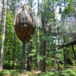 Dow Gardens Midland Michigan Whiting Forest Canopy Pods