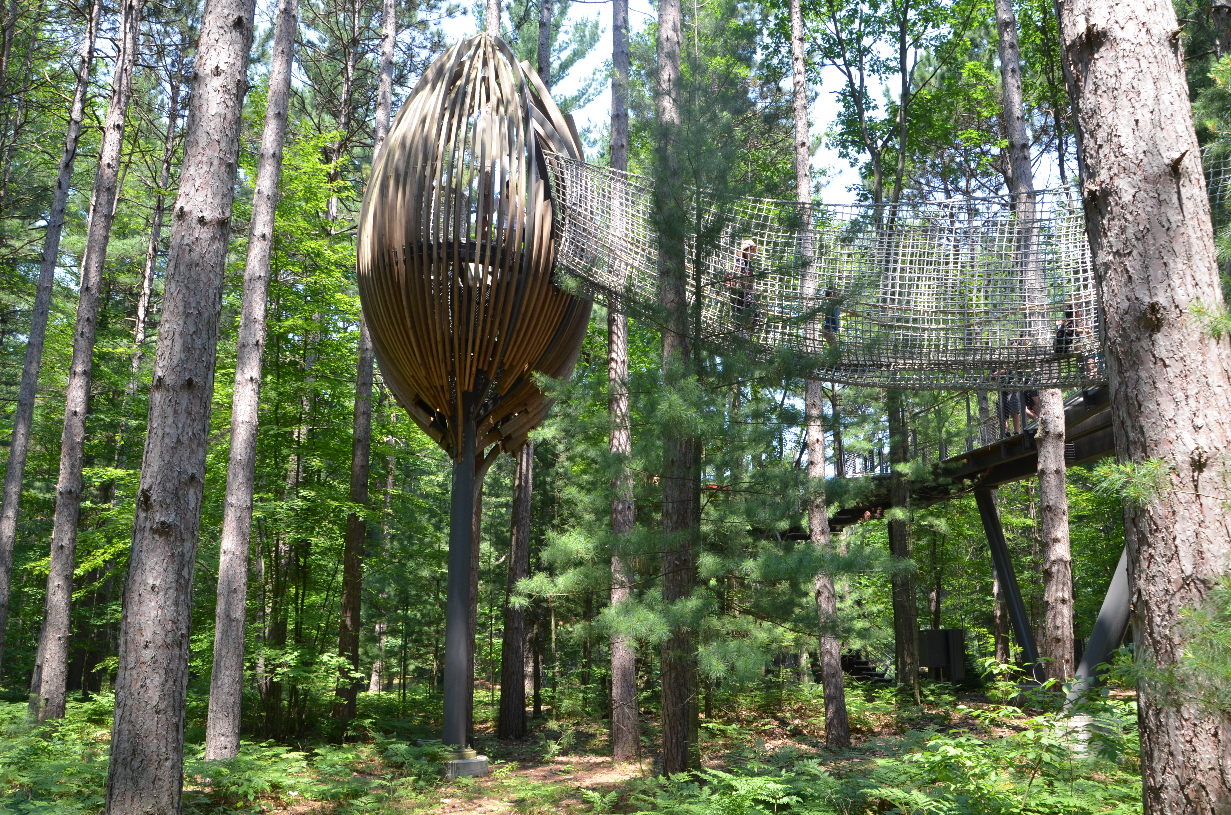 Dow Gardens Midland Michigan Whiting Forest Canopy Pods