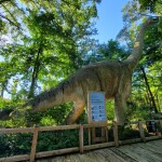 Binder Park Zoo Brachiosaurus Zoorassic Park