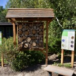 Kellogg Bird Sanctuary Bee Garden