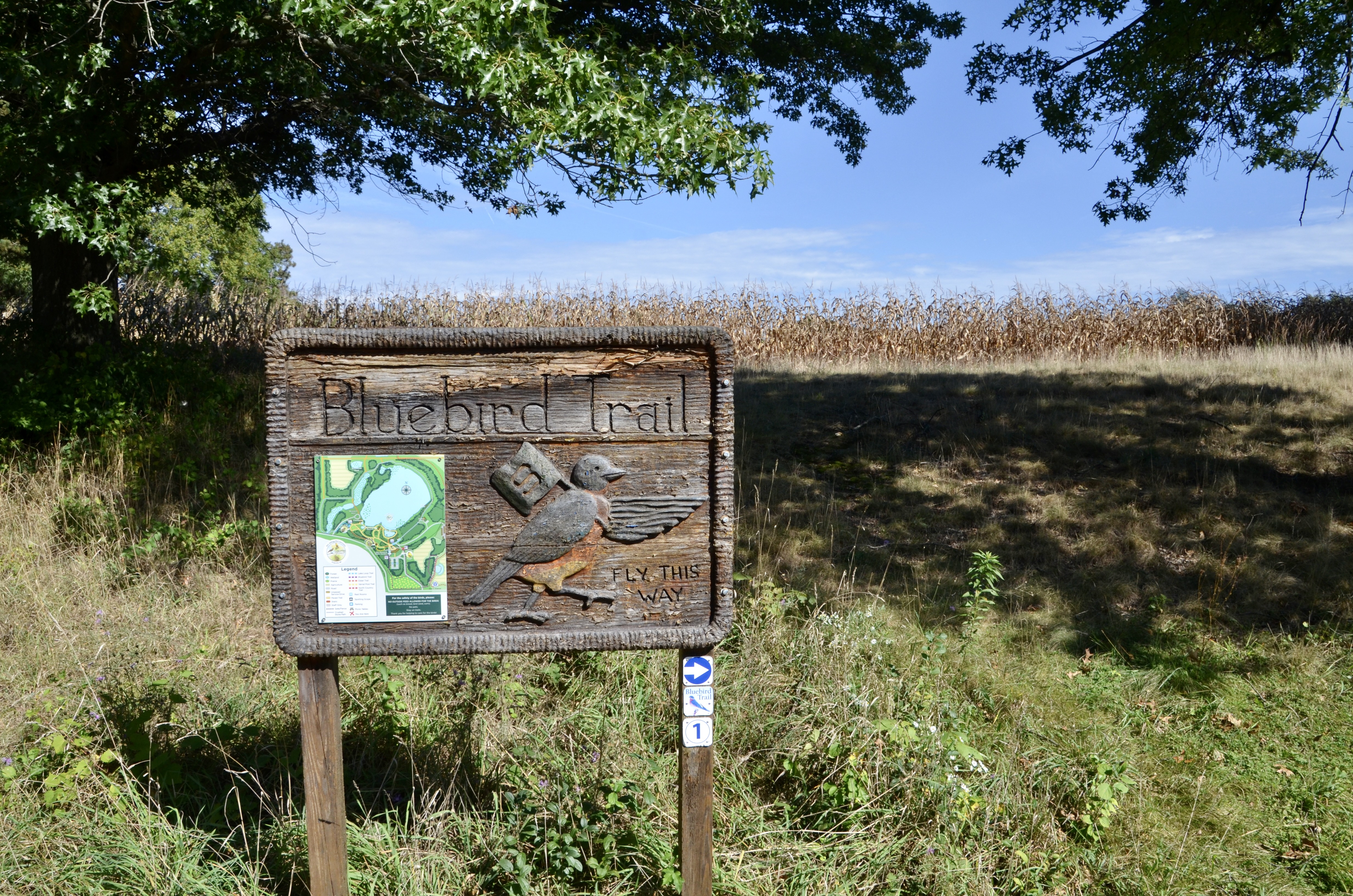 Kellogg Bird Sanctuary Michigan Blue Bird Trail