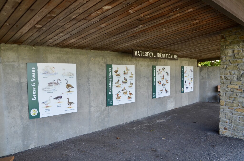 Kellogg Bird Sanctuary Waterfowl Information