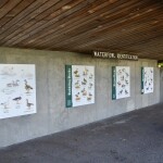 Kellogg Bird Sanctuary Waterfowl Information