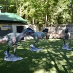 Zoorassic Park Binder Park Zoo Allosaurus Trio