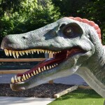 Zoorassic Park Binder Park Zoo Dinosaur Teeth