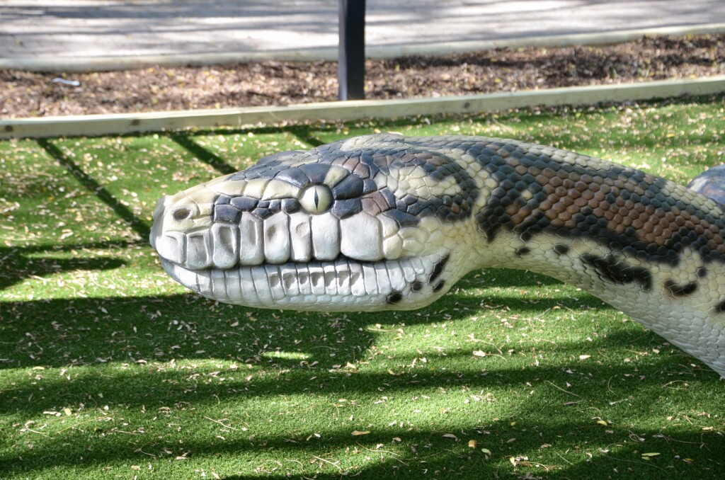 Zoorassic Park Binder Park Zoo Titanoboa Snake Head