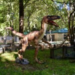 Zoorassic Park Binder Park Zoo Velociraptor