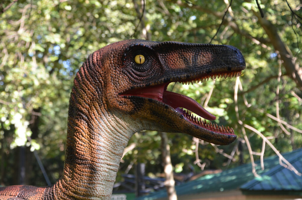 Zoorassic Park Binder Park Zoo Velociraptor Close Up