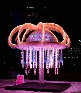 Crank Zappa Jellyfish World of Winter Grand Rapids