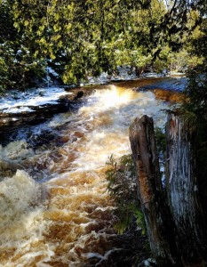 Whitefish Falls Roaring River 2022
