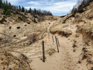A Arcadia Dunes Landscape Shot CS Mott Nature Preserve