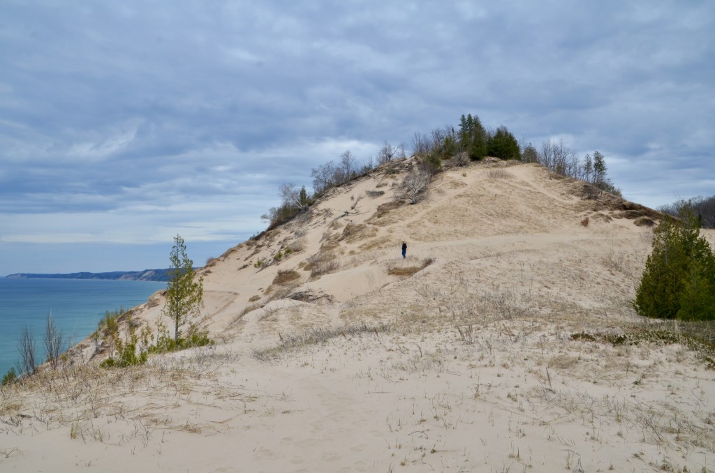 Arcadia Dunes CS Mott Nature Preserve Northern Michigan