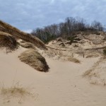 Arcadia Dunes Landscape Shot CS Mott Nature Preserve MI