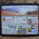 Arcadia Dunes Trail Information Sign