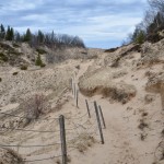 Arcadia Dunes Trail Through Dunes CS Mott Preserve