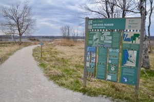 Arcadia Marsh Grand Traverse Regional Land Conservancy Sign