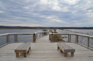 Arcadia Marsh Preserve Boardwalk View
