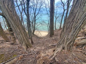 Lake Bluff Farms Manistee Trees and Beach View