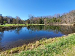 Mayfield Pond Park Michigan