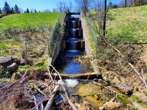 Mayfield Pond Park Swainston Creek Dam Michigan