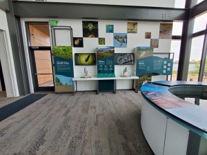 LSSU Center for Freshwater Research and Education Exhibit Wall