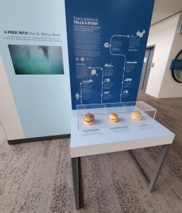 LSSU Center for Freshwater Research and Education Fish Sandwich Exhibit