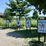 Outdoor Discovery Center Birds of Prey Signs Holland Michigan